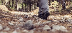 suelas gallardo fabricantes profesionales inicio azulado